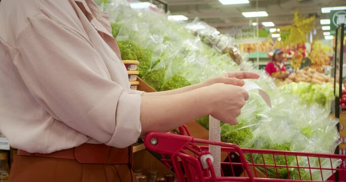 Woman against background of vegetables checks paper check after shopping for groceries at mall by checking Dear Amount bill in a grocery cart. Increase in food prices.Woman checking grocery store cart