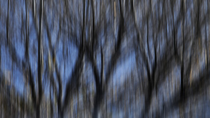 Trees in Motion
