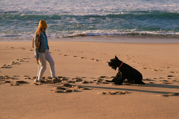 young beautiful woman on the beach plays with the big black dog giant schnauzer near the ocean 