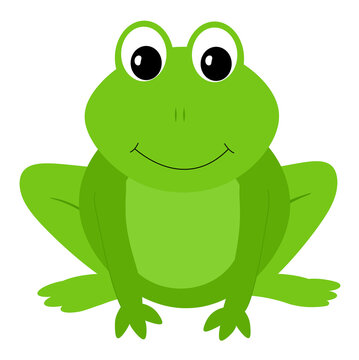 frog illustration created in illustrator 