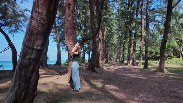 A woman stands and uses a cell phone under the shade of a pine tree.
Tunnel of pine trees along the blue sea beach.
Under the shade of a large tree. slow motion
