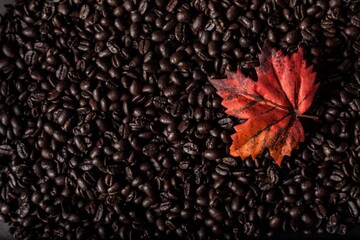 Red leaf on coffee beans