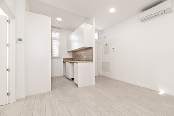 Fototapeta na wymiar A loft-style home with a newly installed small kitchen in a corner with light gray parquet floors