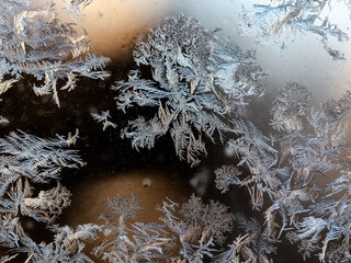 Eisblumen am  Fenster