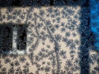 Eisblumen am  Fenster