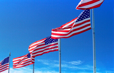 American flags waving in the wind