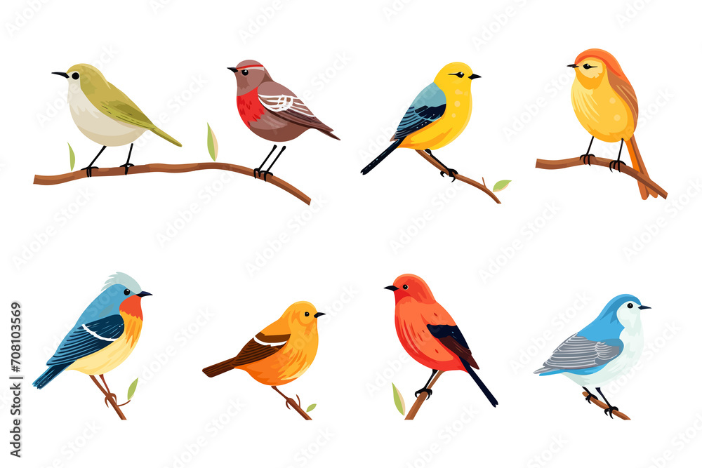 Wall mural Colorful birds set isolated vector style illustration