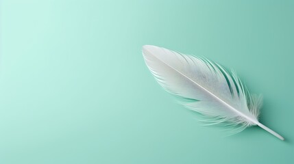 Soft white feather with intricate details on a mint green background, evoking a sense of calm.