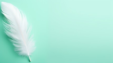 Ethereal white feather gracefully resting on a soft green background, with space for text.