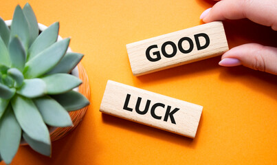 Good luck symbol. Wooden blocks with words Good luck. Beautiful orange background with succulent plant. Businessman hand. Business and Good luck concept. Copy space.