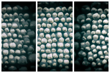 Triptych Design of Blurry Textures. Abstract Backgrounds Set.