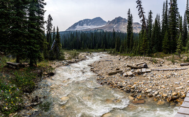 mountain river in the mountains