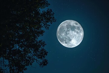 Bright full moon illuminating a clear night sky