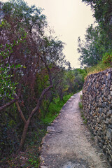 
Cinque Terre views of hiking trail along seaside villages on the Italian Riviera coastline. Liguria, Italy, Europe. 2023 Summer. 