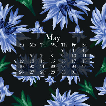 flower calendar, for the month of May 2024, consisting of open field blue cornflowers, green leaves and flower petals, for flyers, calendars or printing