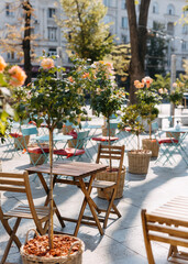 Outdoor café with wooden tables and chairs surrounded by potted plants.