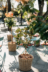 Sunny outdoor terrace metal tables and chairs with potted plants and blooming flowers.