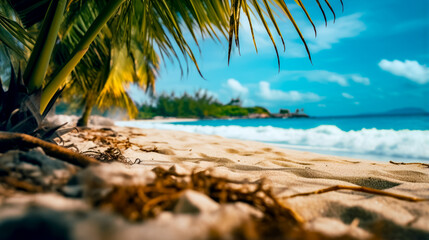 Sandy beach with palm tree in the foreground and the ocean in the background. - obrazy, fototapety, plakaty