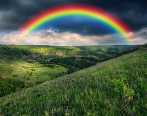 colorful rainbow over the meadow in the morning with grass and flowers. nature of Ukraine