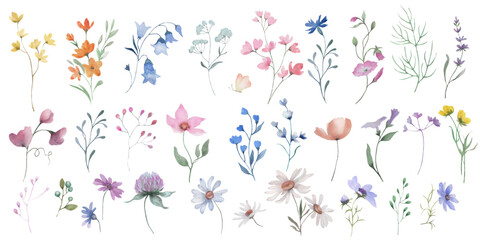 Watercolor vector set. Hand drawn floral illustration isolated on white background. - obrazy, fototapety, plakaty