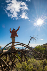 Triumphant man, arms raised, observes horizon from a fallen tree. Image of self-improvement,...
