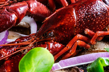 Crayfish seafood