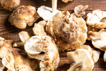 Shiitake mushroom on wooden table