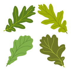 Set of vector silhouettes of colored oak leaves