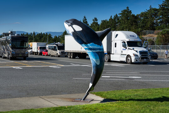 Duke Point British Columbia Canada, July 23 2023: Artistic Orca public art display at a ferry terminal overlooking travellers and transport trucks during summer vacation.