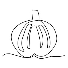 continuous single line art pumpkin