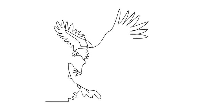Animated self drawing of an eagle is preying on fish in the sea video illustration. wild animal illustration simple linear style video concept. wild animal vector activity for asset design.