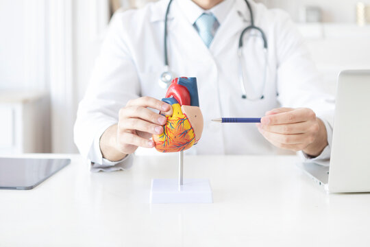 Close up photo of male doctor holding heart mockup in the office of clinic	