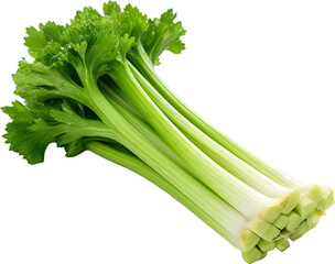 Fresh green celery isolated
