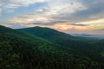Aerial view of green pine forest with dark spruce trees covering mountain hills. Nothern woodland scenery from above