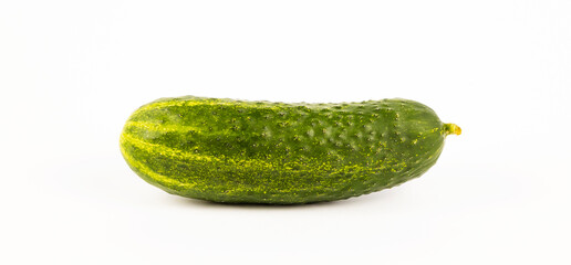 A green cucumber isolated on a white background.