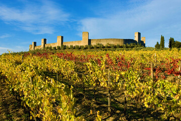 vineyard in autumn, fall, with yellow and red leaves, Castello Fortress of Monteriggioni, Tuscany,...