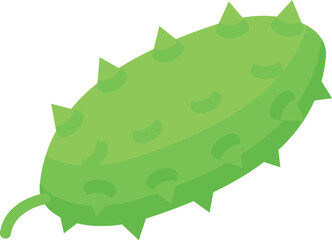 Green raw kiwano icon isometric vector. Citrus raw. Whole tropical leaf