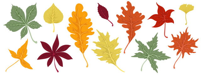 Fototapeta premium Colorful autumn leaves.Vector graphics.