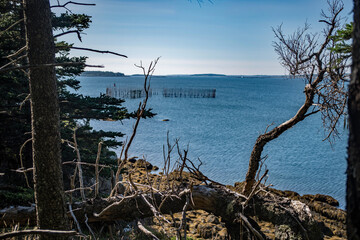 Fototapeta na wymiar Cliff view of fishing weir