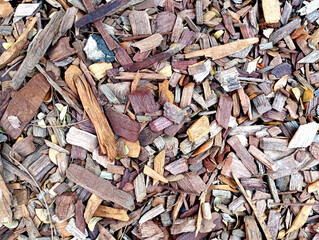 Sawdust background evenly distributed on a flat surface, close-up. Made from sawn dried spruce. Finely chopped wood, by-products and waste products, mainly used as fillers and extenders.