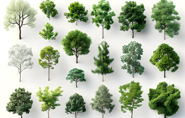 an array of different trees in different positions