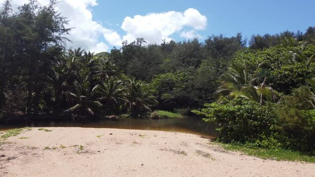 Moloaa Beach in Kauai, Hawaii. Tropical island sand at the ocean surrounded by palm trees in the jungle with a lagoon .