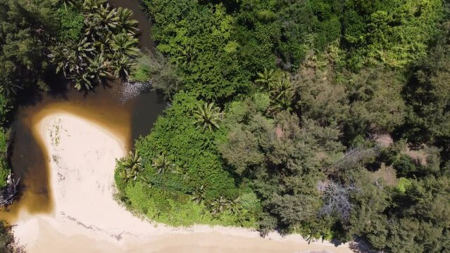 Aerial view captured by drone of Moloaa Beach on the tropical island of Kauai in Hawaii. The beautiful lagoon is surrounded by dense jungle foliage. 