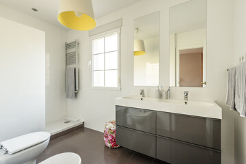 Fototapeta na wymiar a modern design bathroom with gray porcelain stoneware with gloss on the floors