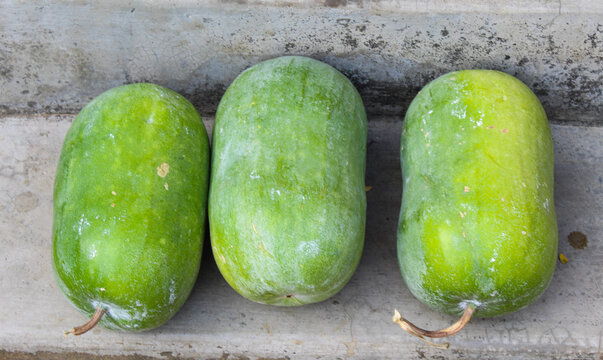 Wax gourd or ash gourd fruits close-up view 