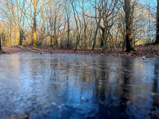 Frozen pool (puddle) of water (natural ice) lying on a path in the forest surrounded with bare trees and branches during the cold days during winter season