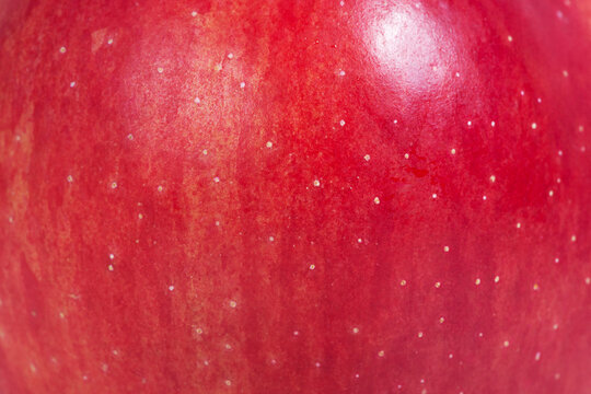The texture of a delicious fresh apple as a background. Apple as a material for a designer.