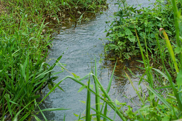 a small river with grass growing on the banks.