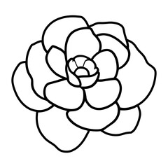 Hand drawn simple flower illustration