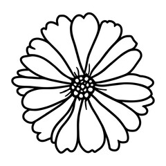Hand drawn simple flower illustration